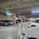 삼환반점 이미지