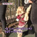 또또농장 이미지