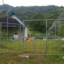 하동농장 이미지