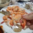 대일회수산 이미지