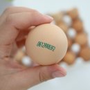 한길농부 농장 이미지