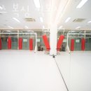 플렉스 복싱 이미지