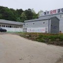 세계승마클럽 이미지
