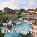 JI농장3 | [내돈내산] 하나투어 발리 3박5일 여행 후기 1탄 - 공항 도착부터 우붓투어까지