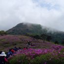 한국의 산하 추천 -- 철쭉산행 8선 이미지