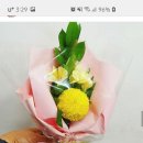 아마존 꽃 식물원 이미지