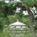 초리골초계탕 이미지