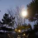 가로등 | 캠핑 랜턴 추천 파이넬 N7 플러스 가로등 랜턴 + NIP전용가방 후기