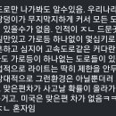 미국 차량들이 오버헤드라이트를 장착하는 이유 이미지