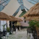 5903 | 쇼어 추천 시흥 카페 맛집 휴무일 주차 리뷰 안내