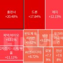 D- 137일 상한가 및 테마별 급등 순위 이미지