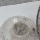 산운세탁 네이버블로그