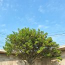 제주 혜윰가족숙소 이미지