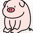 드슈