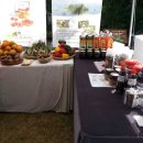 춘식농장 이미지