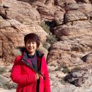 행복노래강사 김승자 네바다주 Red Rock Canyon 에서 자연의 장엄함을 느끼고 이미지