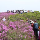 보성체육공원운동장 이미지
