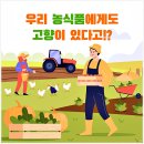 에버그린에버블루협동조합 | 가을 열무김치담그는법,품질 좋은 국산 고춧가루 선별하는 팁과 열무얼갈이김치 레시피