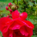 어진농장 이미지