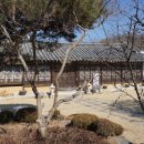 나루터민박 이미지