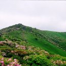 화봉제1공원 이미지