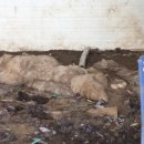 하남농장 이미지