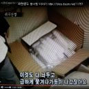 민박이야기 이미지