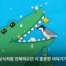 악어새 - 송파구 오금로40길 40 | 악어새