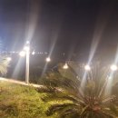 나비스호스텔 이미지