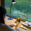 스테이 감동 이미지