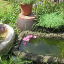 나무대문집 이미지