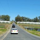 (주)코스타 | 호주워홀 블루베리 코스타 이직 첫주차 후기 능력제 안녕