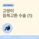 송정동물메디컬센터 이미지