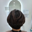 양덕동119 이미지