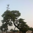 송림공원 이미지