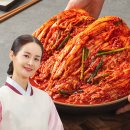 홈푸드농산 | 국내산 포기김치 김가연 배추김치 10kg 추천