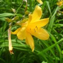 소호민박 이미지