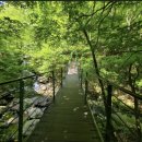 국립지리산자연휴양림 이미지