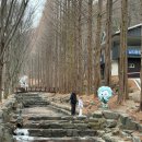 칠갑산 | 겨울 아이랑 칠갑산자연휴양림 참나무 복층 후기