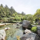 보길도 윤선도 원림 이미지