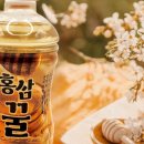 꿀천지