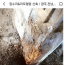 기둥 보강 공사 예정입니다 이미지