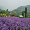 송산복지용구 이미지