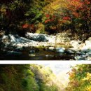 나라농원 이미지