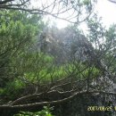 새밭마을 입구 이미지