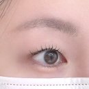 샵뮤이 | 서면 전포 속눈썹 펌 잘하는 곳 : 부전역 샵뮤이 shop.mui (당일, 야간 시술 가능) 무쌍 단골 예약