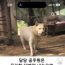 아이방구
