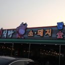 골든루트식당 이미지
