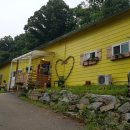 리드펫 | 파주 애견수영장 무료인 리드펫 솔직후기