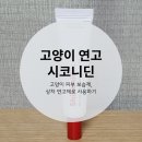 메디코니 이미지